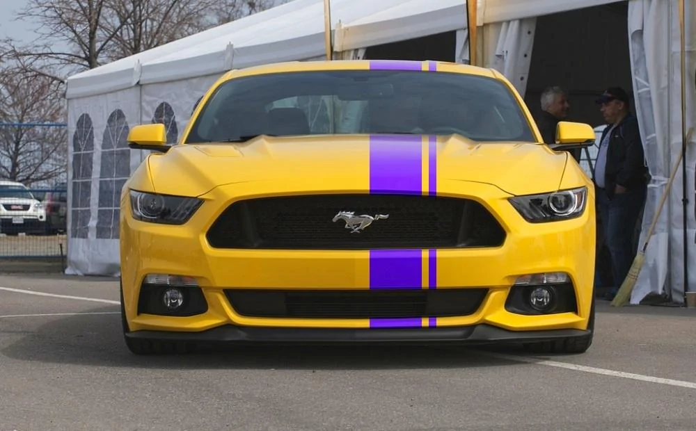 purpleyellow1.webp