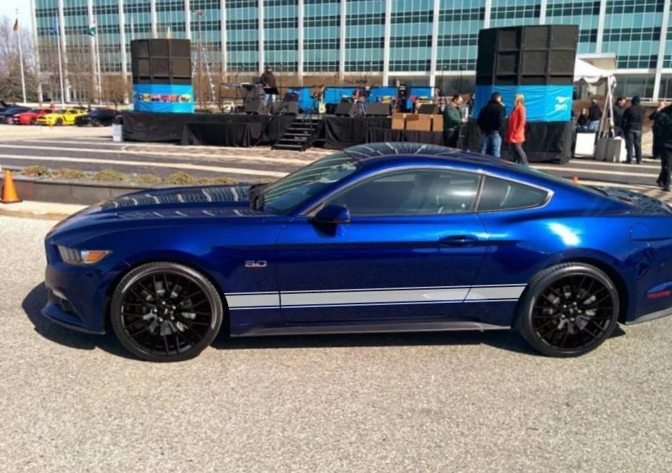 side stripe.webp