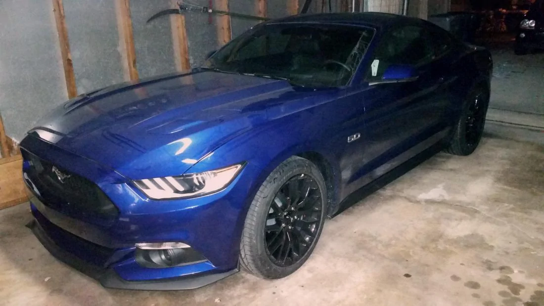 stang1.webp