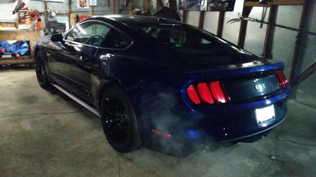 stang5.webp