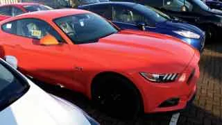 Mustang.webp