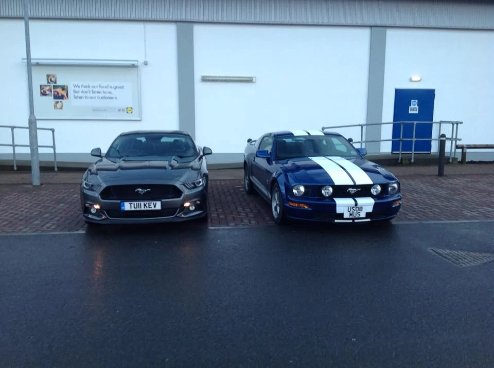 Duel Mustangs.webp