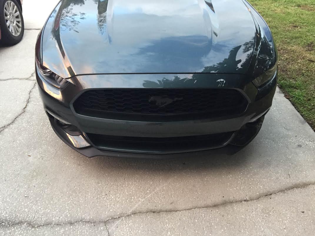 f5cab723-3578-4066-9e6d-c9e4cc562c80.jpg