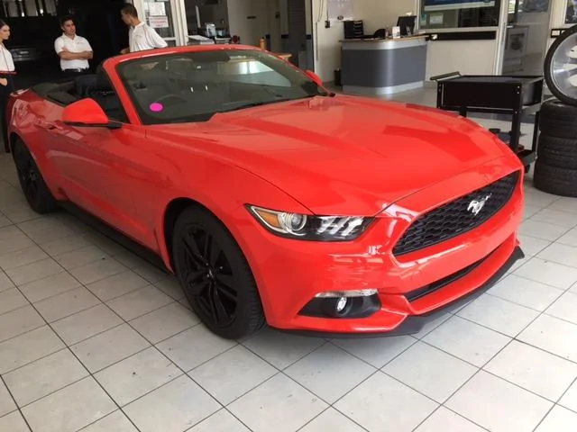 Stang 1.webp