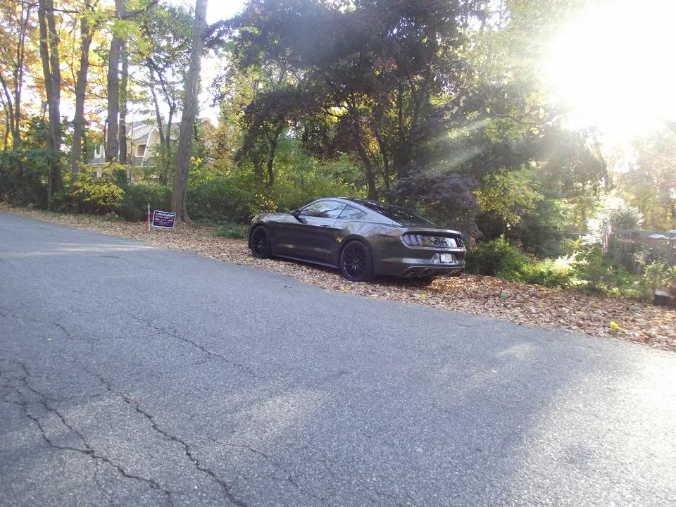 779029as-960.jpg