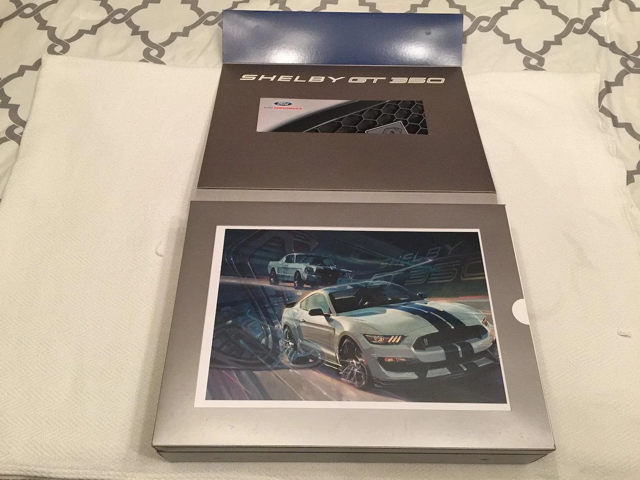 GT350 Owners Supplement-2.webp
