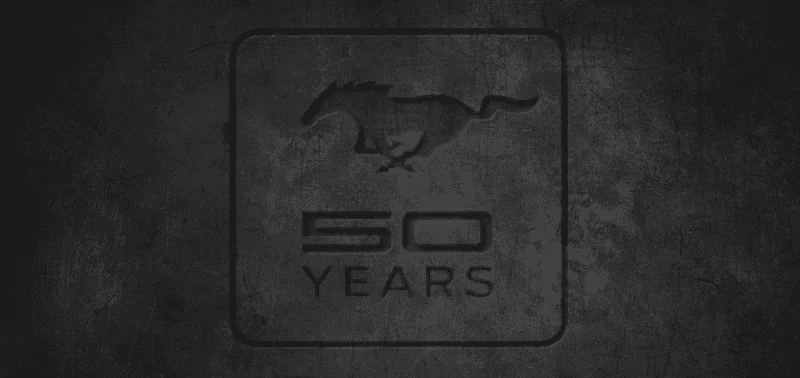 50 years bkg.webp
