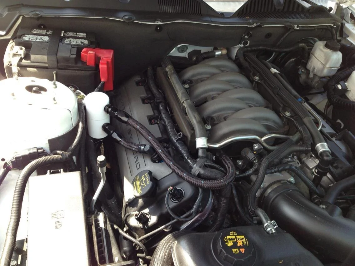 image.webp
