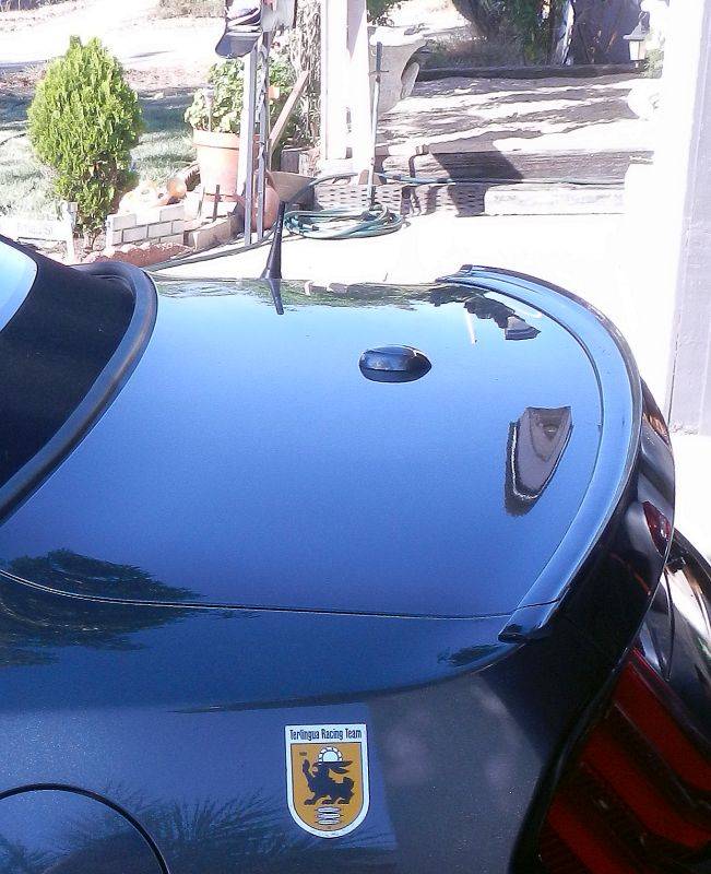 Gray Car Lip Spoiler Tips LV Vertical_x800_DSCN7692.jpg