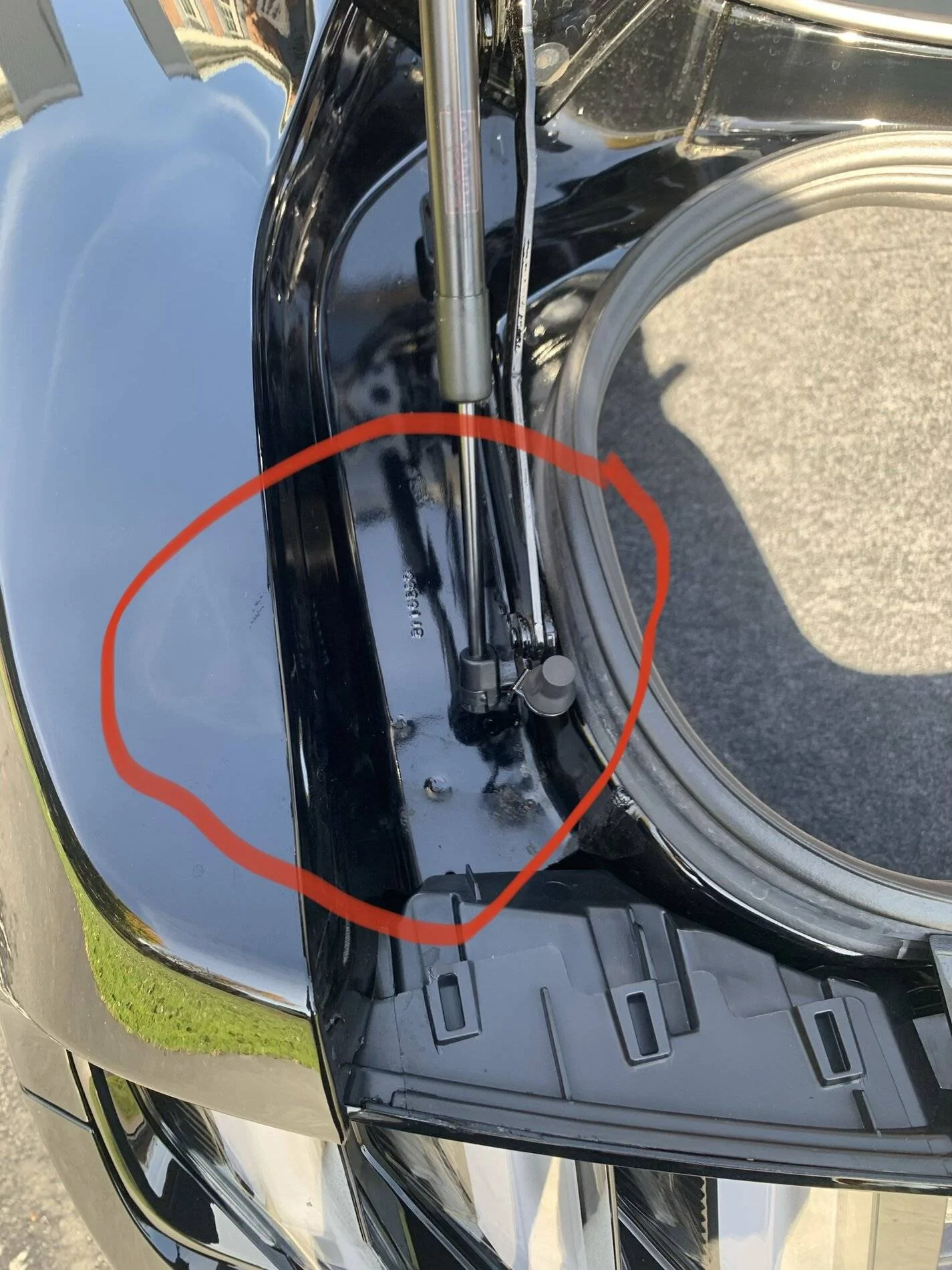 9C783C5C-FCAE-45CE-AE6C-70F19FC240ED.webp