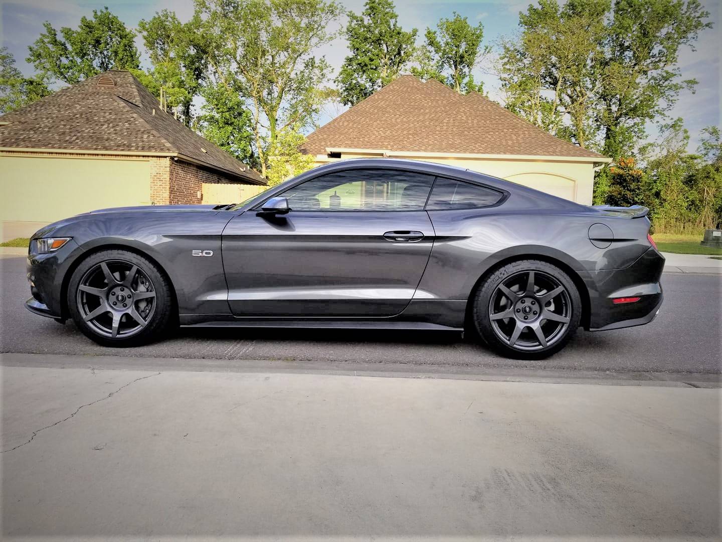 mustang3.jpg