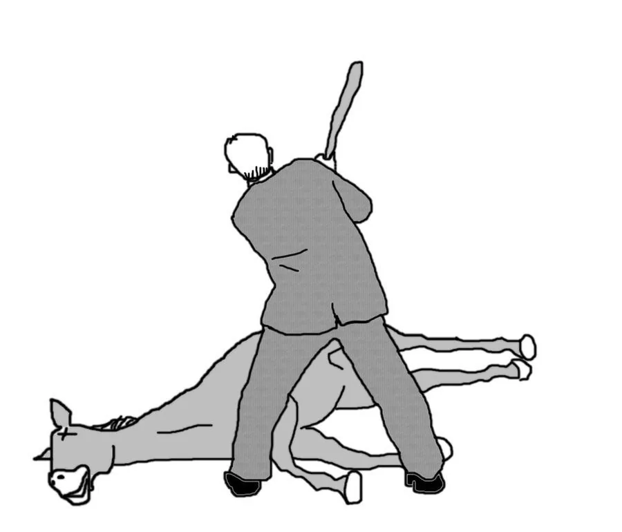 beating a dead horse.webp