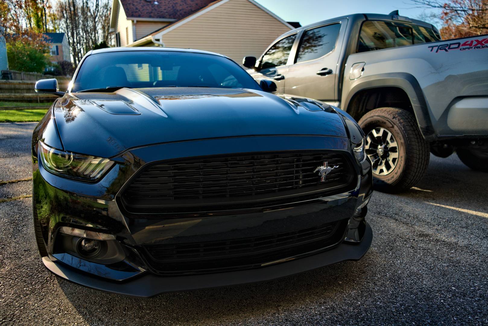 Mustang-resize.jpg