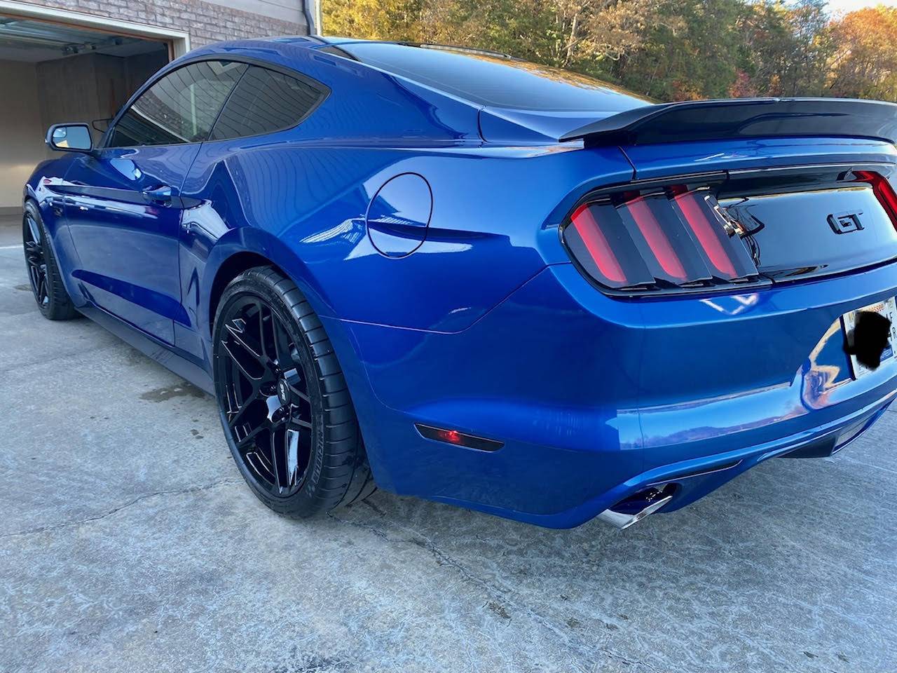mustang4.jpg