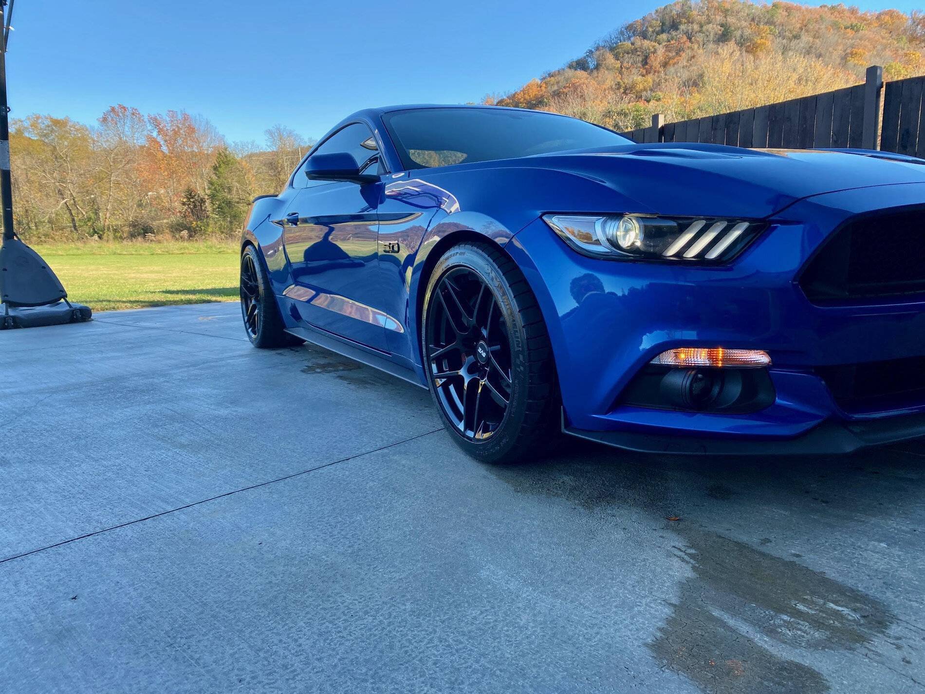 mustang2.jpg