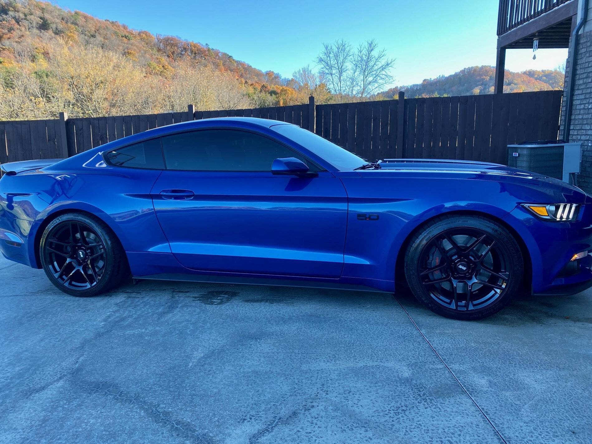 mustang3.jpg