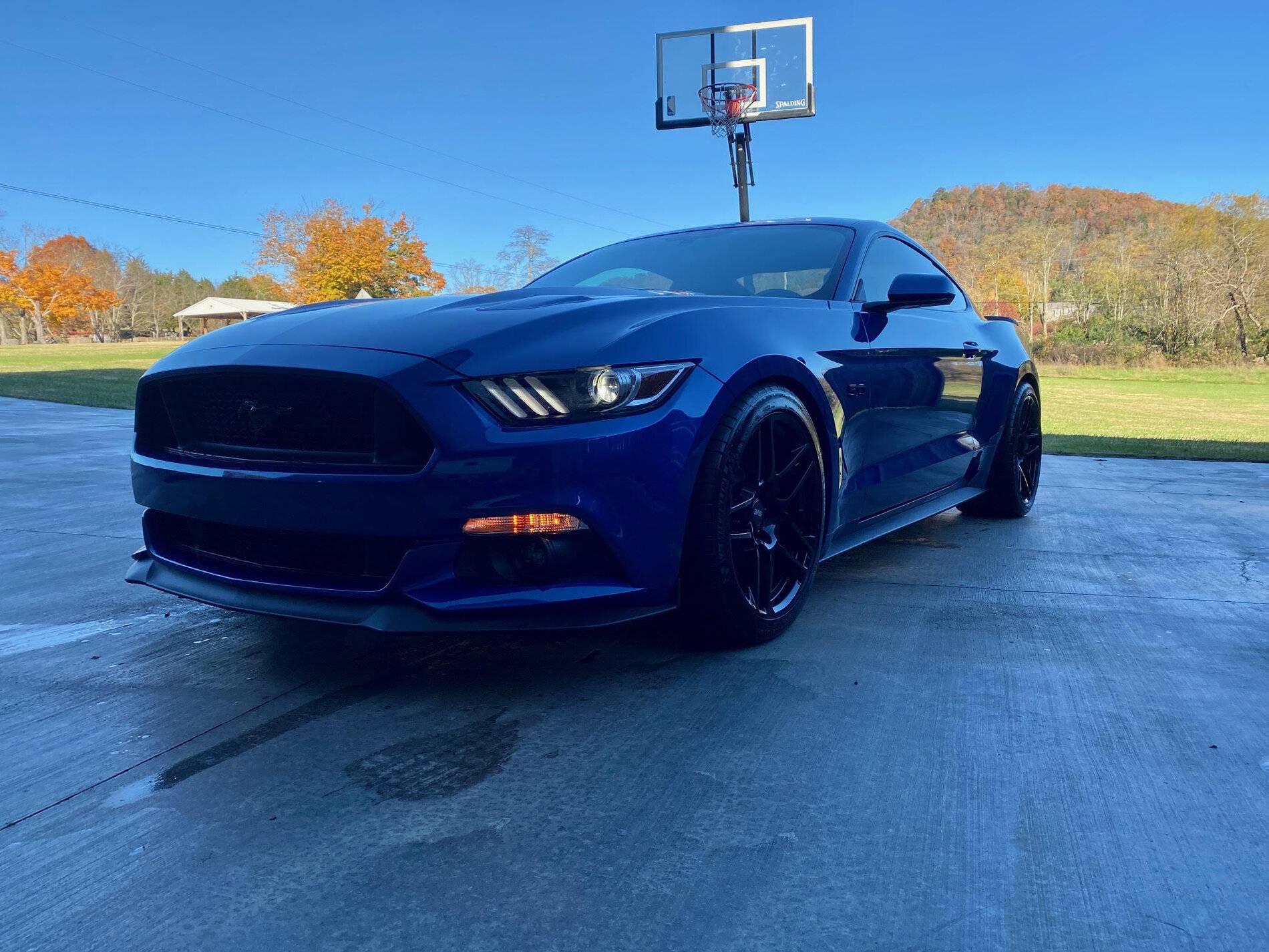 mustang1.jpg