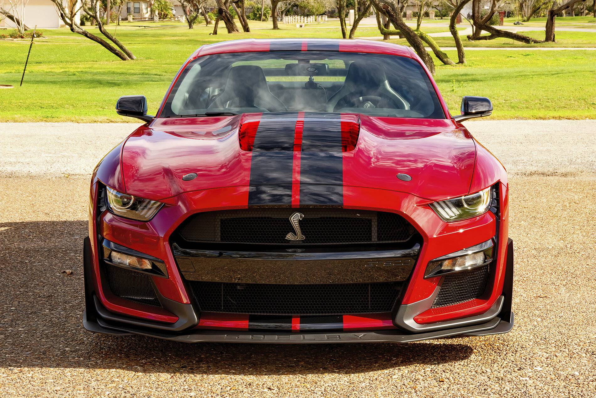 colored-hood-vent.jpg