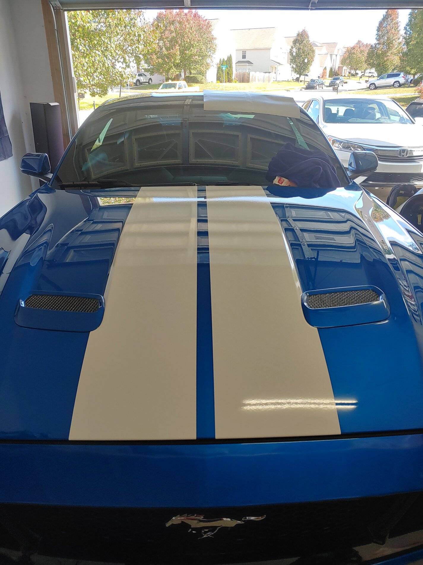 20201108_115357_HDR.jpg