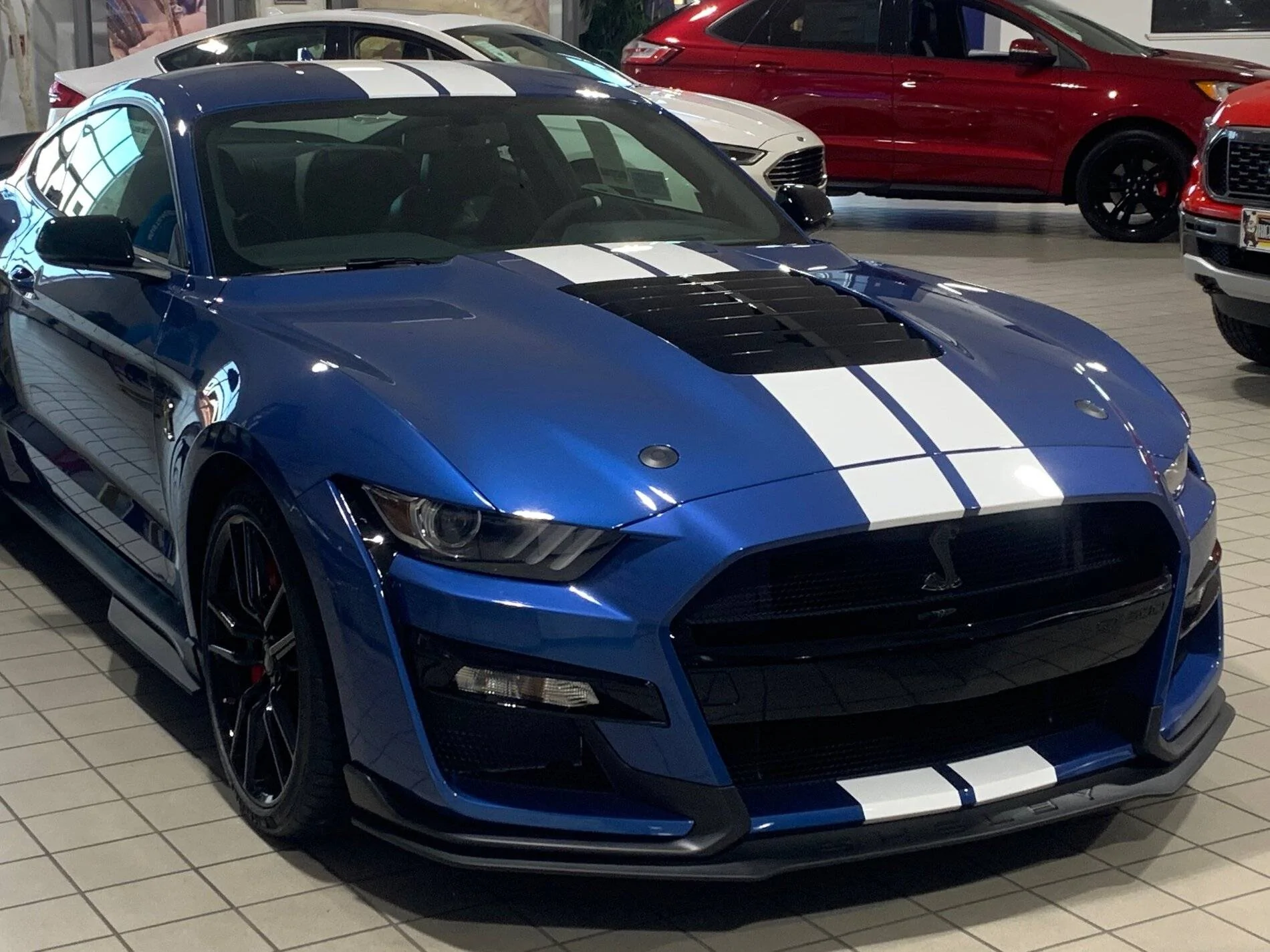 bluegt.webp