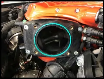 whip10.jpg
