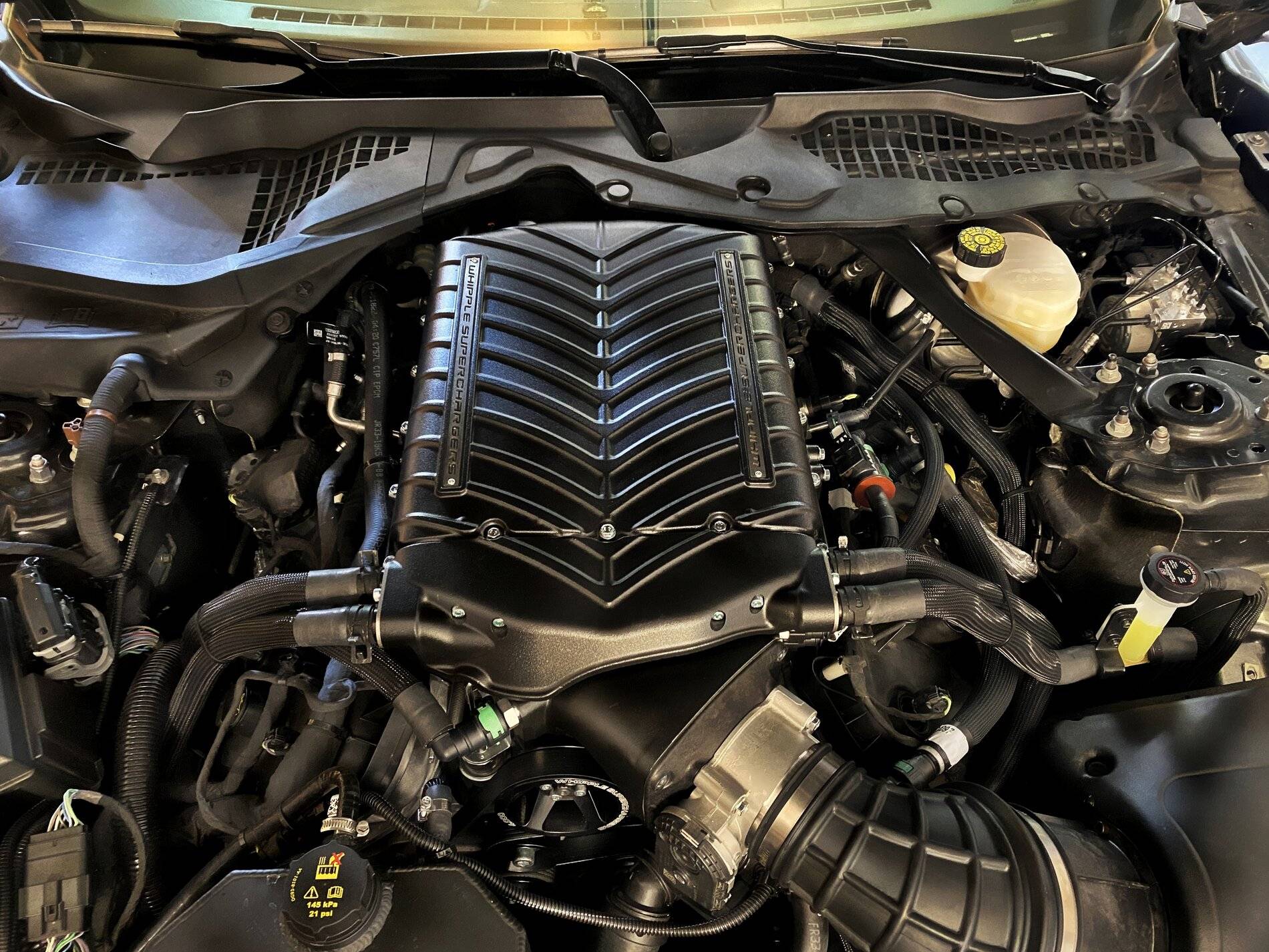 whip7.jpg