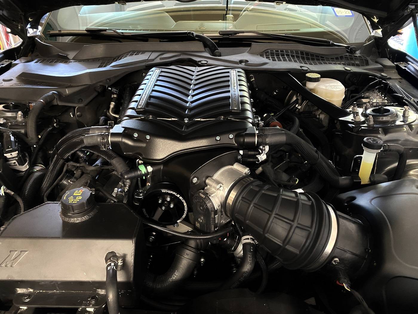 whip11x.jpg