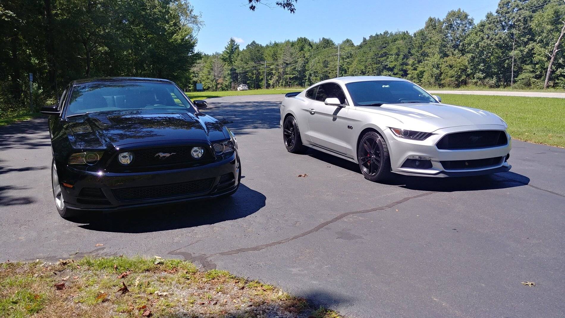 Stang3.jpg