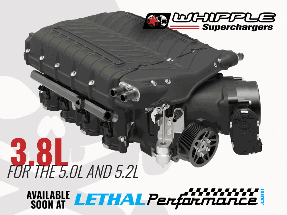 whipple38.gif