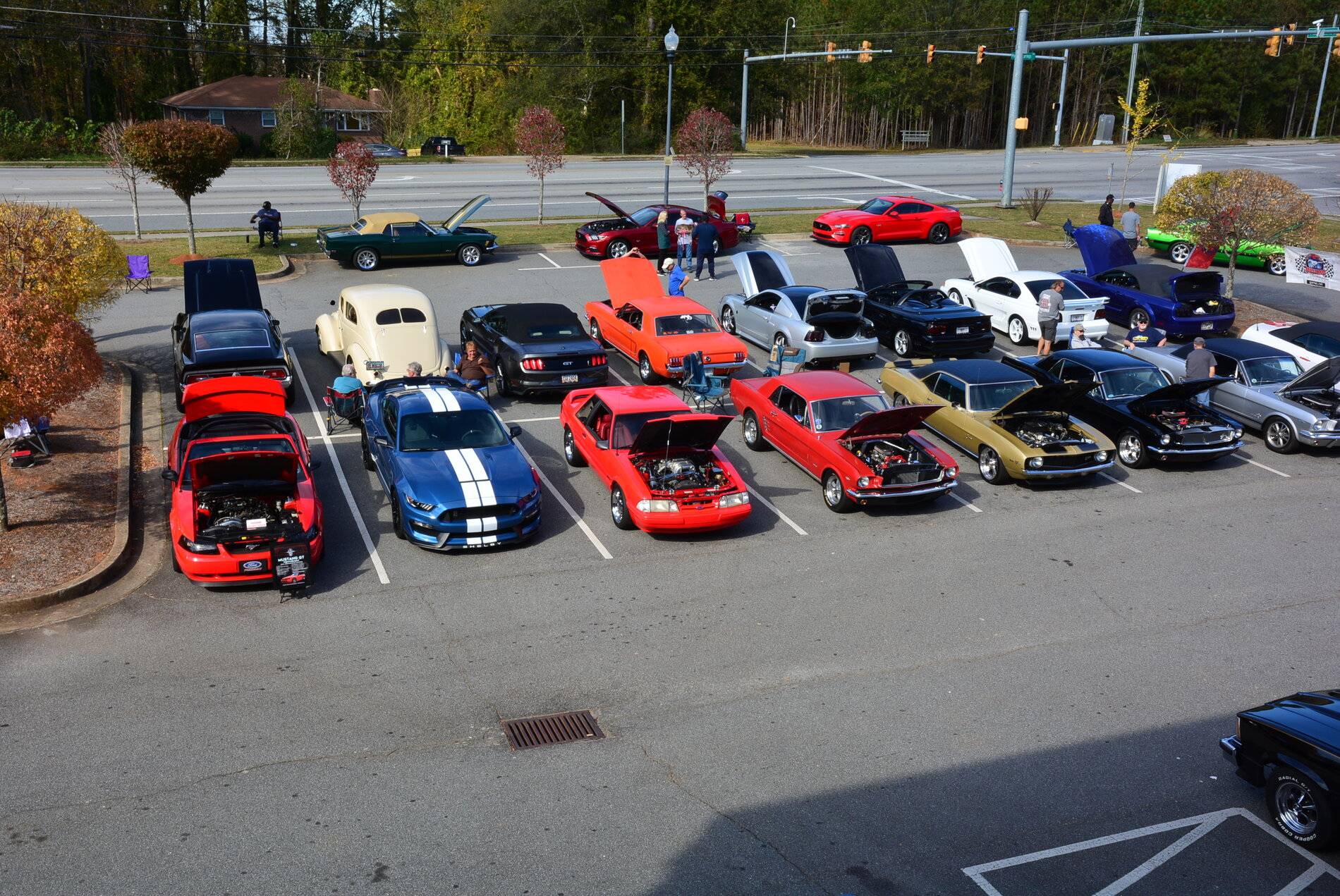 DSC_0252.jpg