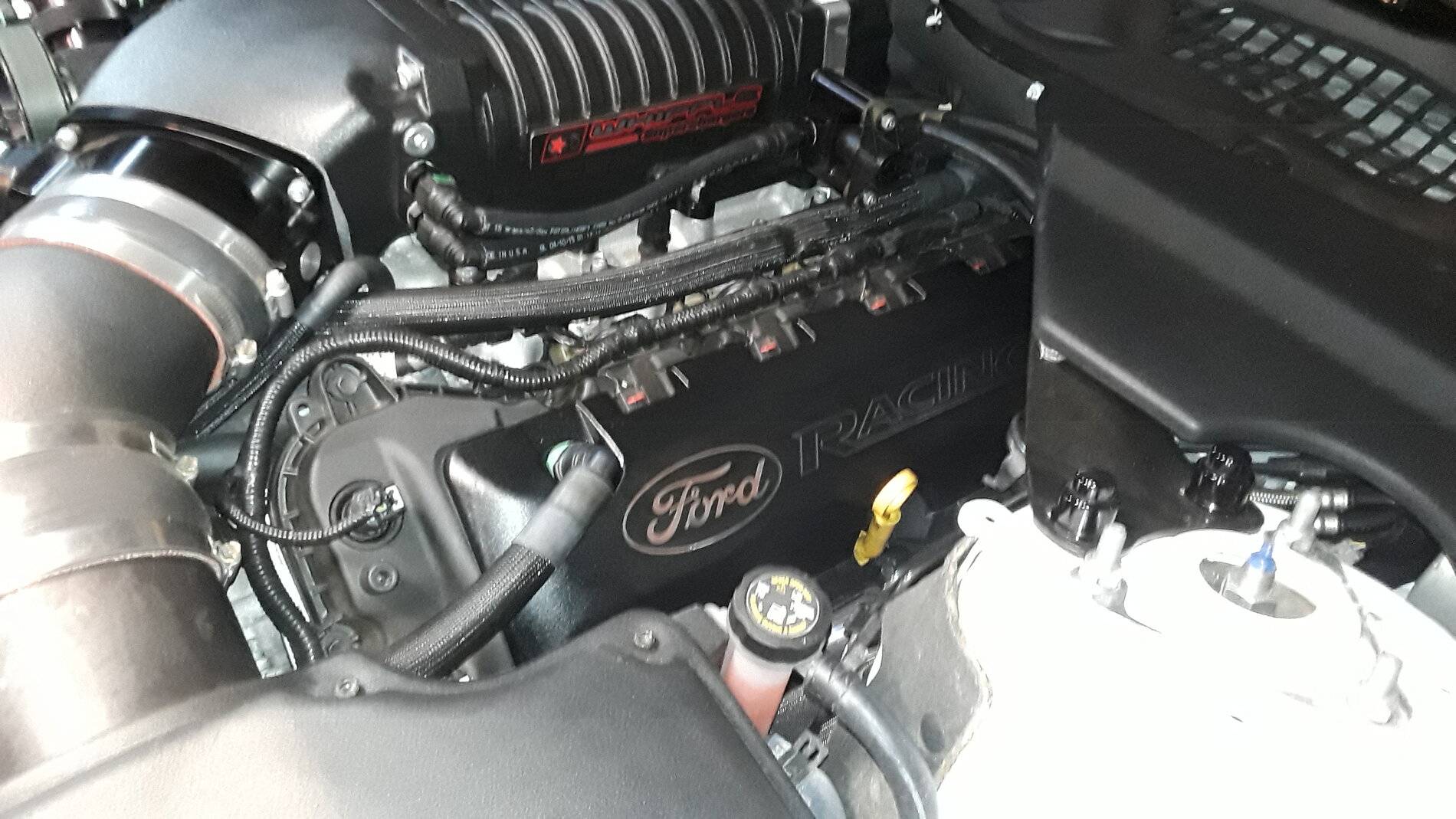20201119_155310.jpg