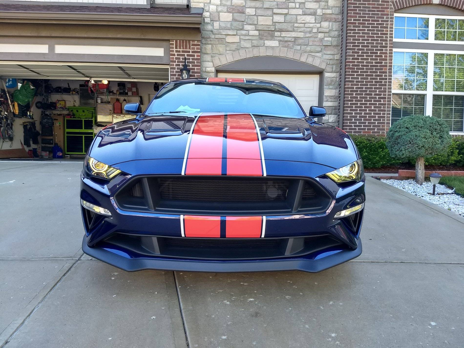 Car Front 1.jpg
