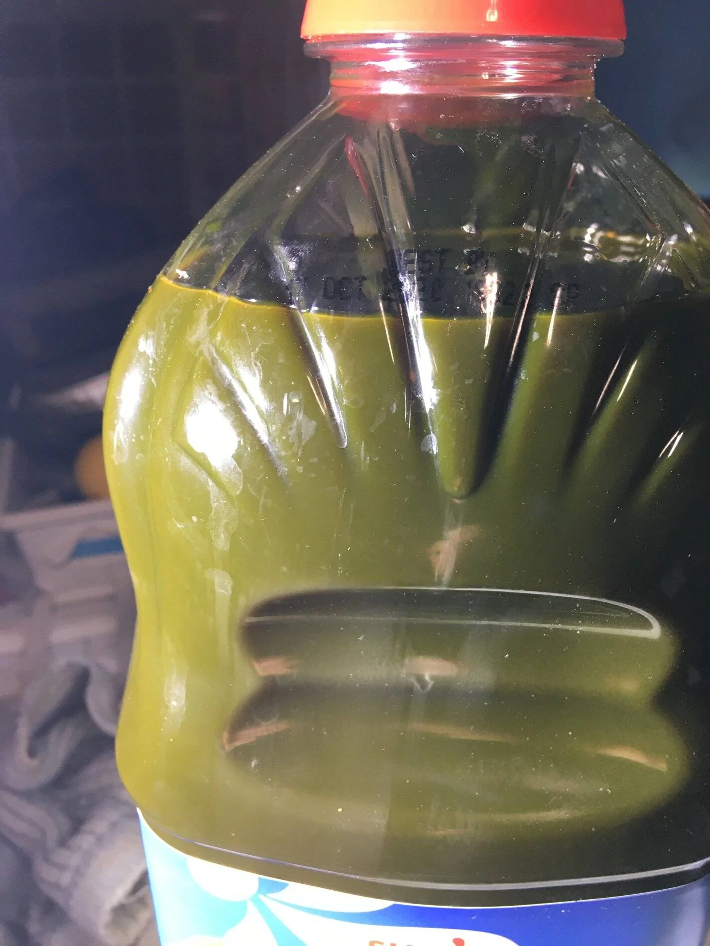 Dyed Oil.webp