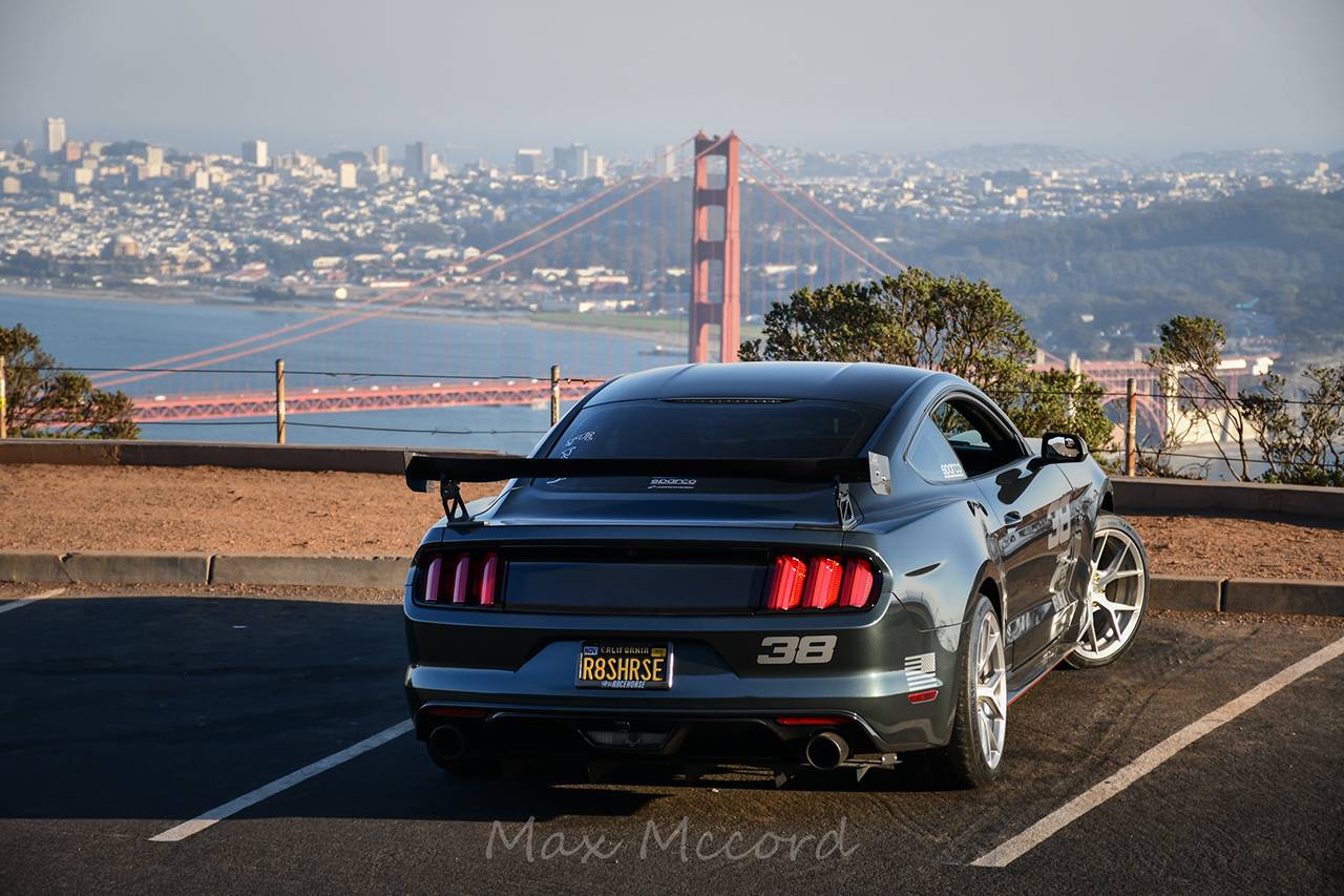 DSC_2913_Original.jpg