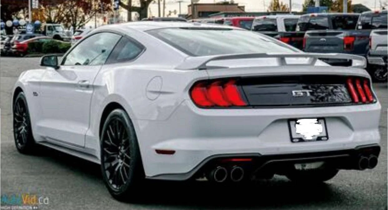 Mustang_F.jpg