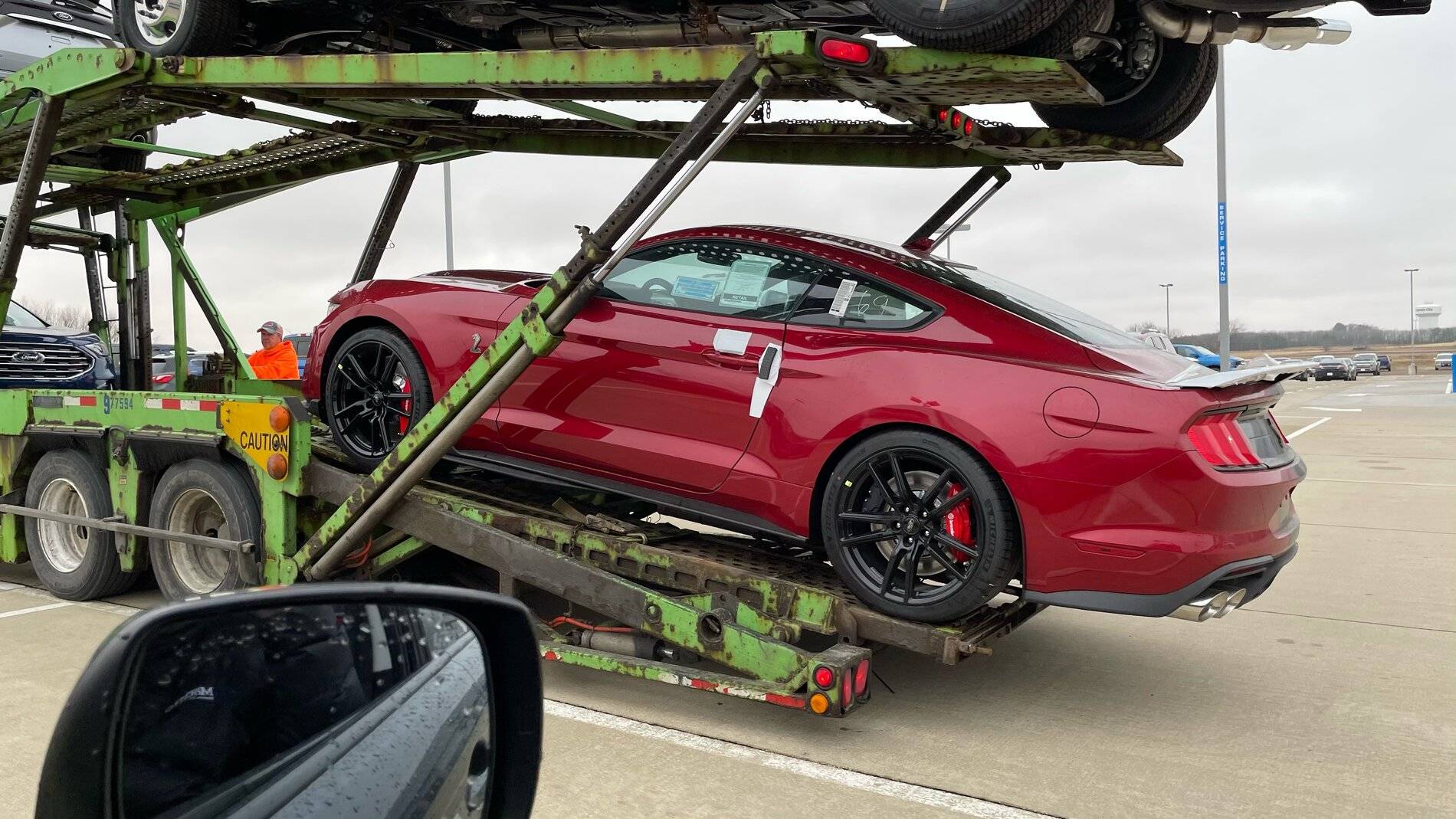Shelby 1.jpg