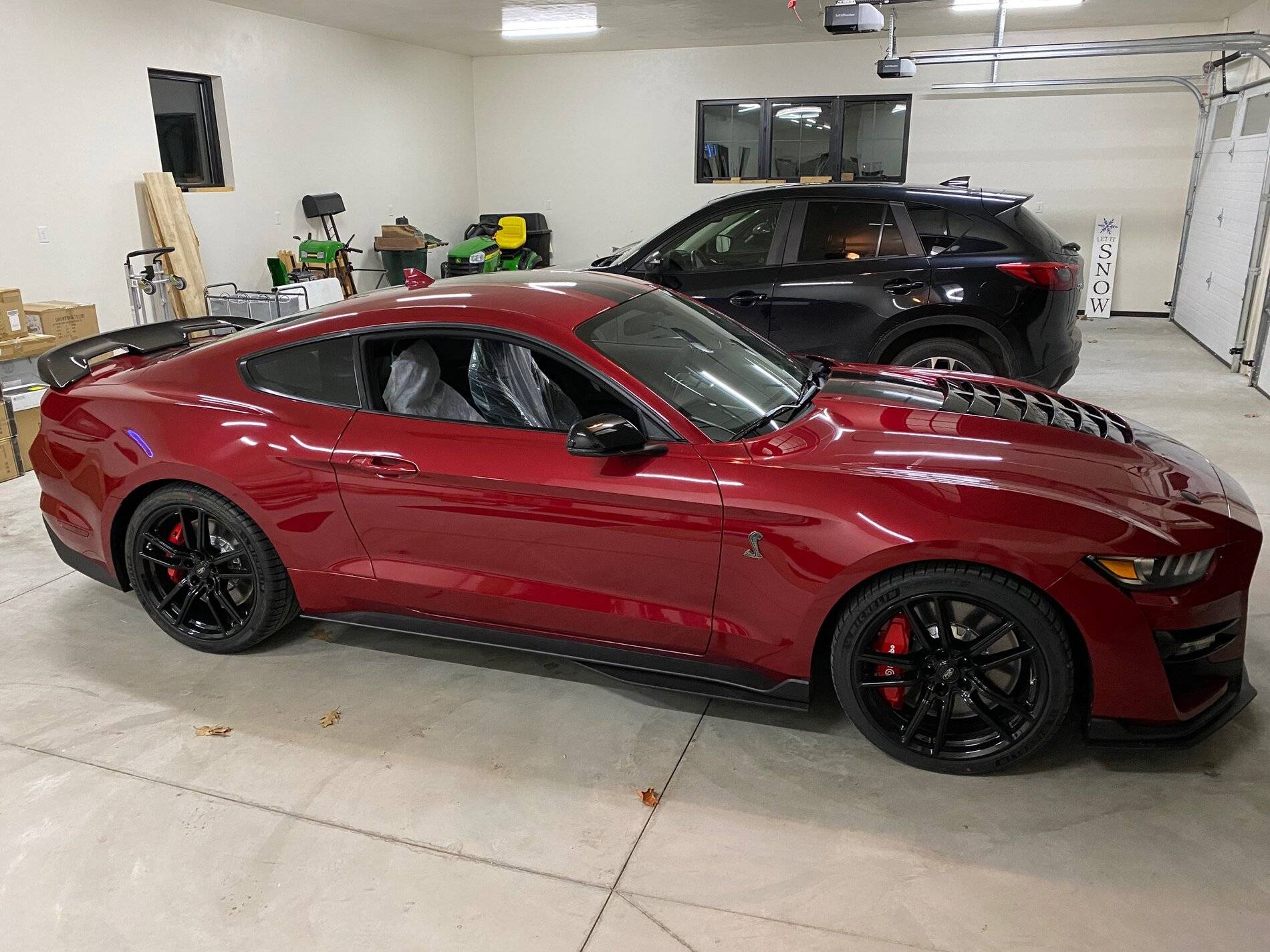 Shelby in Garage.jpg