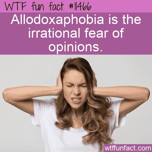 b51c6ac1f6a0962e76a3be5b308442df1137524b.webp