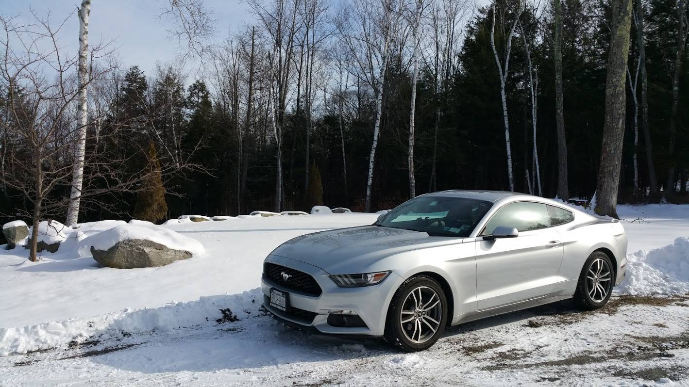 2015 Mustang EB.jpg