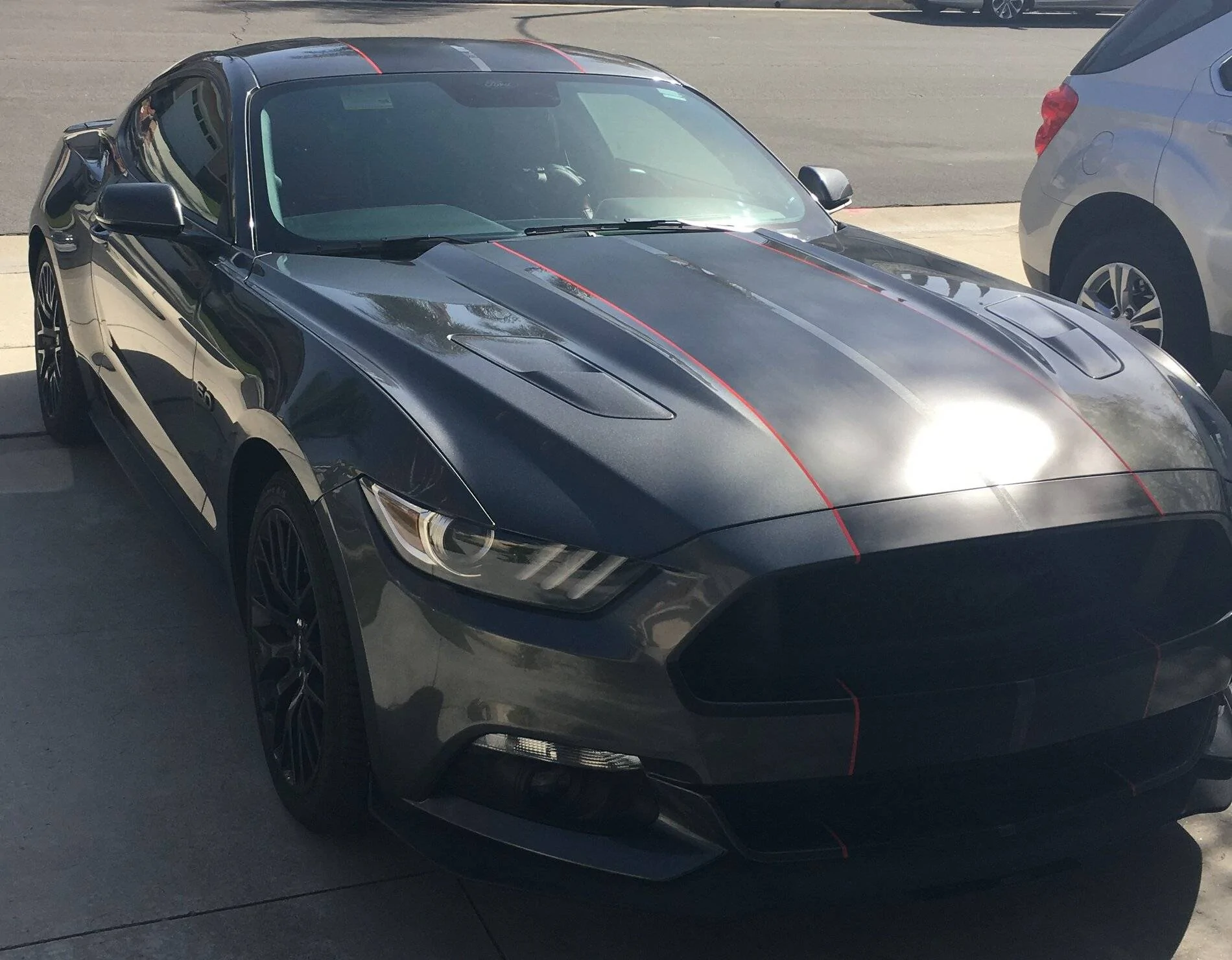 mustang stripes (2).JPG