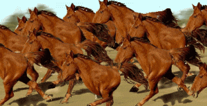 0542E465-68F1-49FA-96F0-83C32891F656.gif