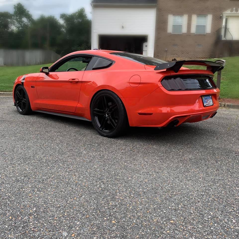 rearquarter.jpg