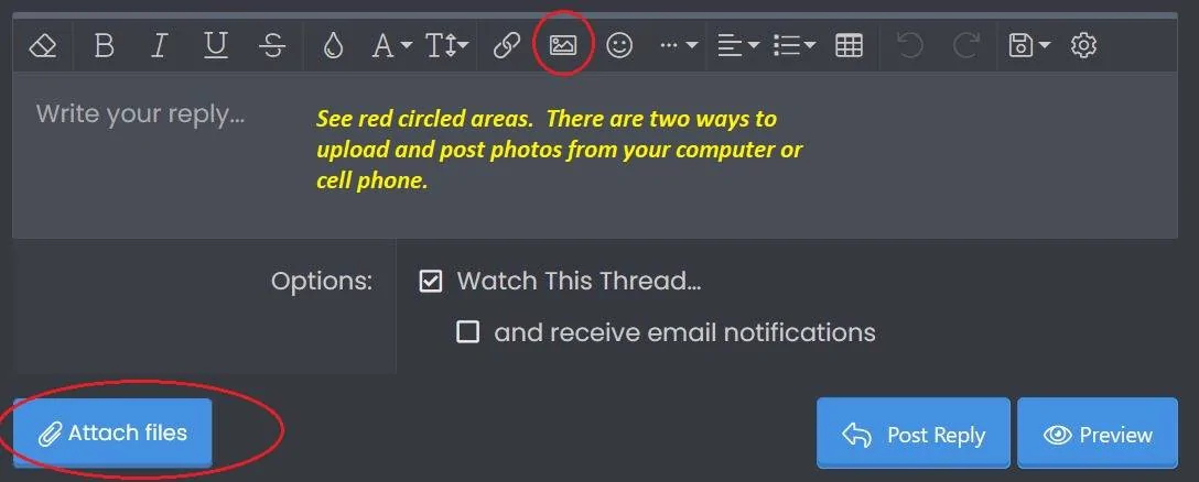Capture.JPG