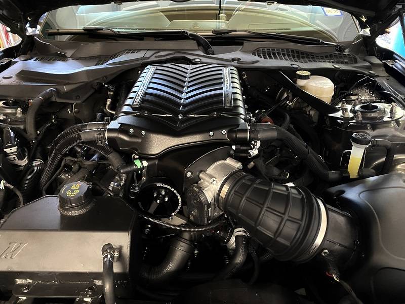 whip11x.jpg