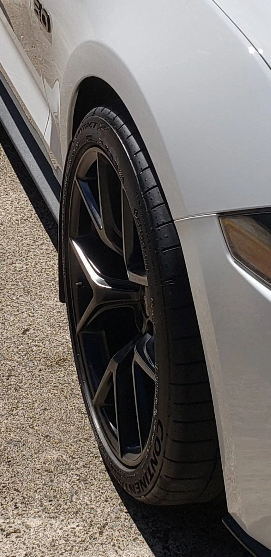Screenshot_20201127-122947_Gallery.webp