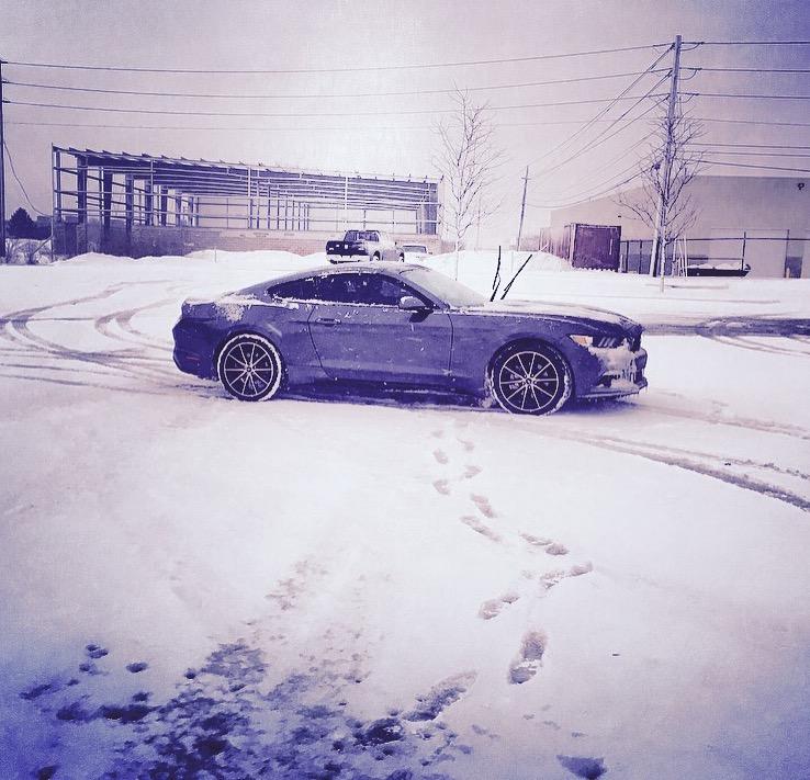 snow stang.jpg
