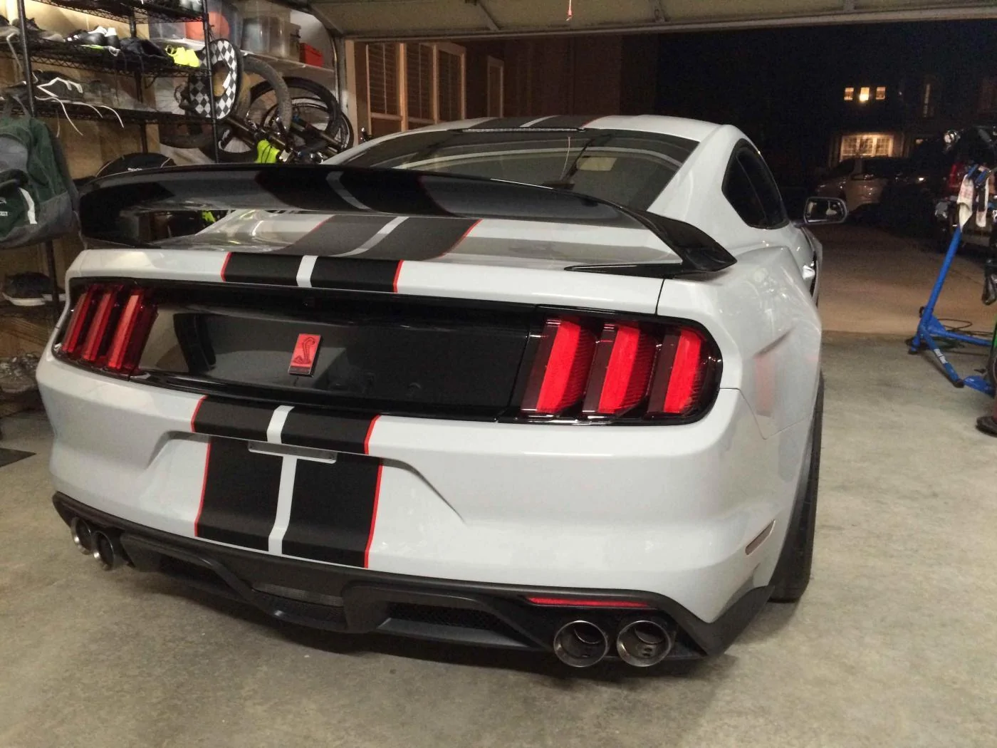 R wing small.webp