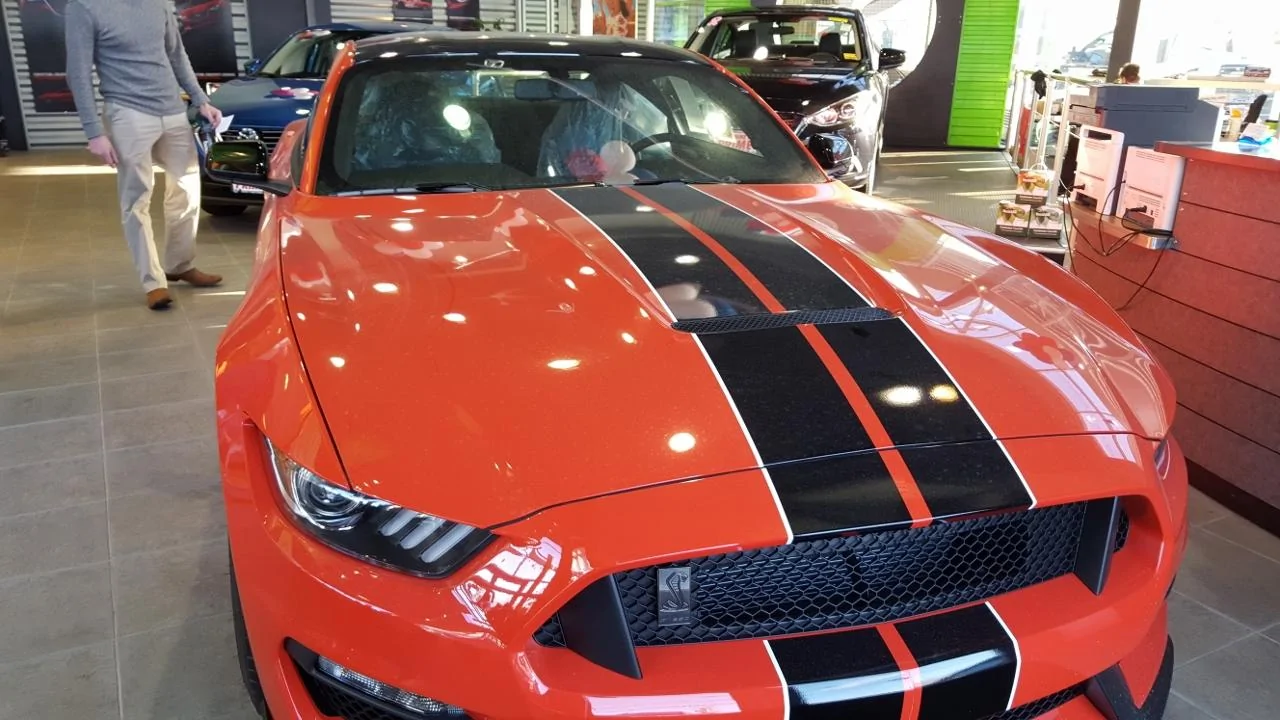 20160113_150243_002 (1280x720).webp