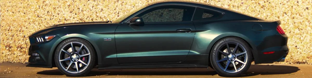 supercharged-2015-mustang-gt-guard_6497.webp