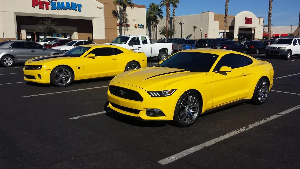 bumblebee.webp